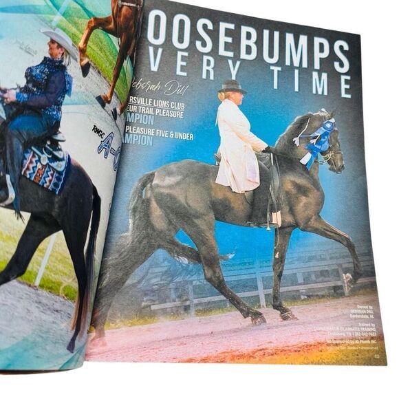 The Walking Horse Report -July 24 , 2023 CORNERSVILLE LIONS CLUB Grand Champ - Picture 5 of 7